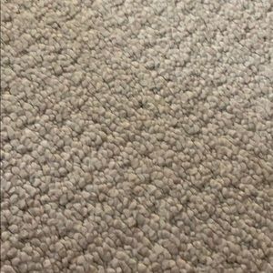 Meet your Posher, Ann